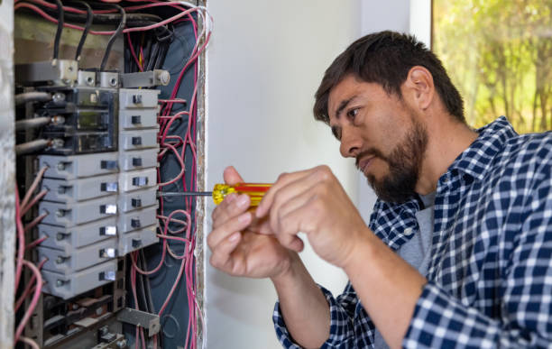 Best Licensed Electrician  in Williamson, AZ